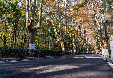男男裸体啪啪 h游戏｜争议游戏“男男裸体啪啪h”被封禁，社会呼吁加强监管与自律