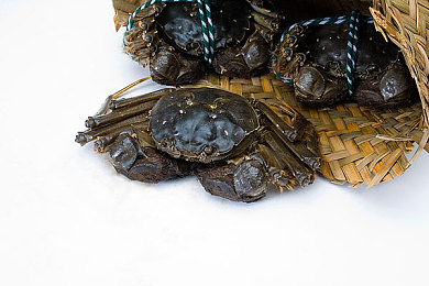 每日大赛在线吃瓜入口|每日大赛精彩瞬间,轻松“吃瓜”的在线乐园等你来探索-2