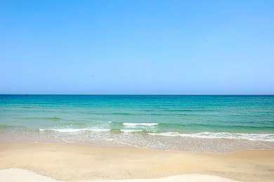 乔巴罗宾发琴2d彩绘｜探索乔巴罗宾发琴2D彩绘魅力：艺术与动漫的完美融合-1