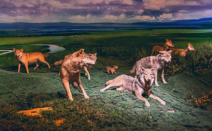 请牢记域名永不失联|网络安全守护者:域名稳定,信息永续之旅-1