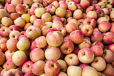 裸女直播软件|网络直播净化行动,严打“裸女直播”乱象-1