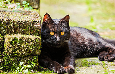 国精产品48x国精产品|国精48x:畅享智能新体验,生活办公两不误-1