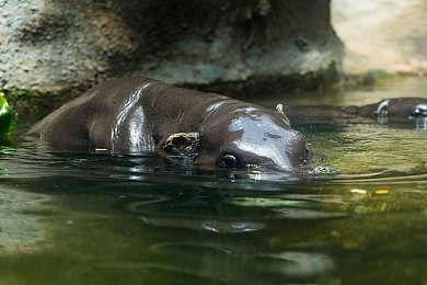 福建导航导入app免费下载｜畅游福建，导航无忧，免费出行神器-1