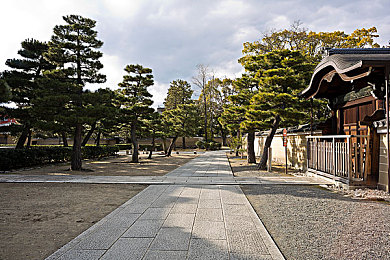 juliaann熟妇与小伙子｜年龄之恋引争议：熟妇与年轻人的情感纠葛引发社会思考-2