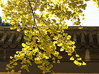 人妻被行长又粗又壮又|银行行长涉嫌性侵人妻事件引发社会关注,道德拷问金融行业-1