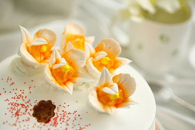 人和兽的融合logo|兽影智慧融合:跨界奇缘探险之旅-3