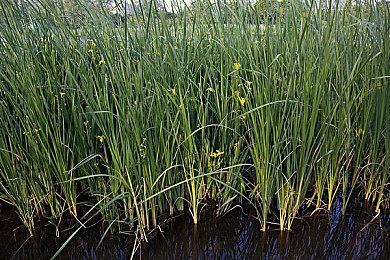 好·色.先·生TⅤ｜好色先生TV：潮流领航，品质生活，男性世界新篇章-1