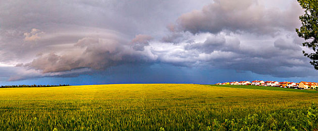 Xdevios中文免费版官网下载入口｜探索Xdevios，畅享高清影视盛宴-2