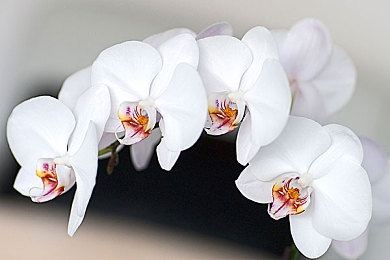 男生被强迫戴飞机杯榨精故事｜校园暴力引发热议，性教育缺失亟需改善-1