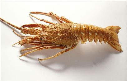 17人但人文艺术｜17国艺术家共绘文化交流盛宴，创新艺术形式碰撞人文魅力