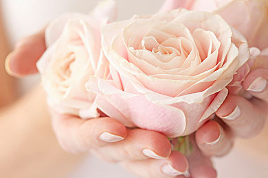 爱情岛  论坛成人AV｜清朗网络，守护青春，爱情岛风云再起-2