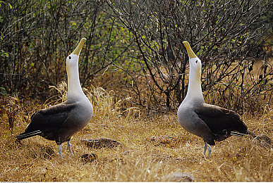 超碰乱伦｜乱伦风波再起：家庭教育缺失，伦理道德何去何从？-2
