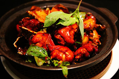 eVeLyn,Ⅴ0des,张丽｜“三地巾帼齐心抗疫，谱写人间大爱篇章”