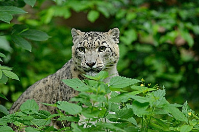 禁用的10大软件|数字时代阴影下的禁用软件揭秘:隐私、安全与权益的警示录-1