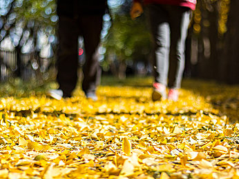黄WWW｜网络迷雾破晓：黄WWW神秘组织揭秘之旅