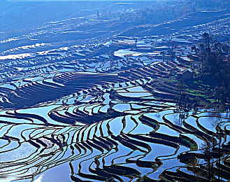 黑料网今日黑料首页反差｜网络舆论反转：黑料网首页正能量逆袭，揭示社会清朗新篇章-1