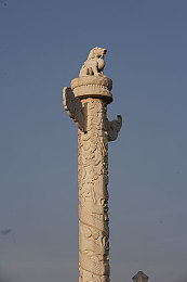 多彩平台直播|直播盛宴,多彩互动,沉浸式体验,解锁全新娱乐之旅-1