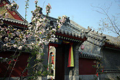 警察娇妻被大肉楱征服｜健身器材助力，警察娇妻蜕变记-1