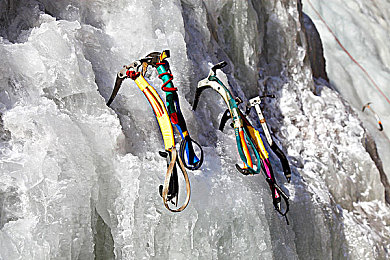 丁香六月|盛夏丁香花海:各地花节绽放,诗意六月魅力无限-3