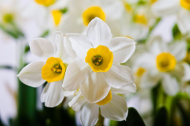 东北大炕乱|东北大炕乱象引发社会热议:传统民居面临环保与安全双重挑战-1