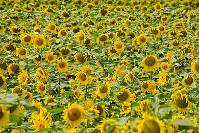 调教体育生Gay2024www|体育学院创新性取向教育,助力校园和谐包容-1