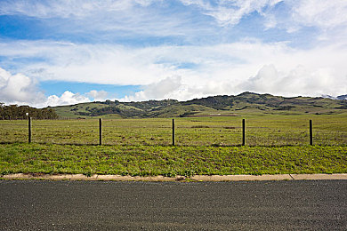 花椒直播APP｜花椒直播APP：创新驱动直播热潮，引领行业发展新风向-2