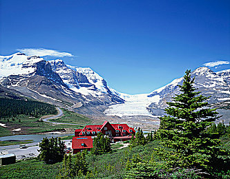 难得一见极品一线天馒头|“匠心独运,一口难求:极品一线天馒头走红网络,美味与传承共舞”-1