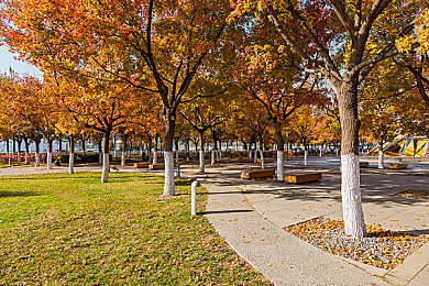 性一交一配｜解码生命之源：探寻性一交一配的进化奥秘-1