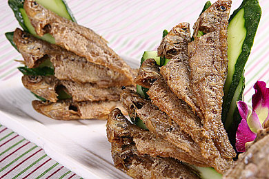 花季下载安装v3.572｜青春校园恋爱新篇章，花季v3.572唯美绽放-2