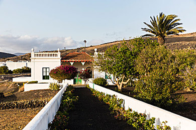 西方58大但人文艺术|探寻西方瑰宝:揭秘58大人文艺术之美-1