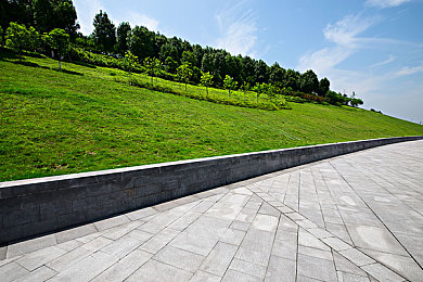 黄瓜成视频片 无限次数|短视频助力黄瓜热销,创新农业宣传开启无限曝光时代-1