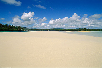 男女打扑克剧烈运动|激情牌桌,性别无关,友谊与智慧碰撞-1