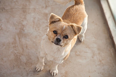 新月直播大全免费下载手机版｜海量直播盛宴，新月直播大全畅享游戏新体验-1