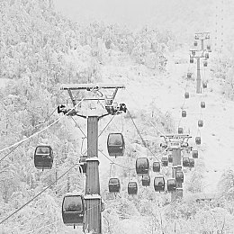 国产av色情|探索国产色情产业的变革与挑战之路-1