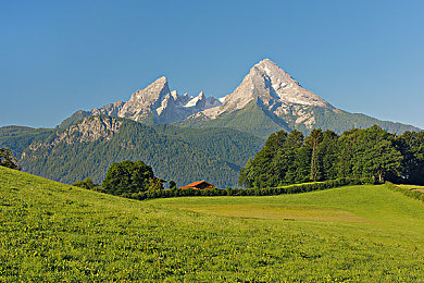 东北肌肉篮球打桩机｜篮球战场，肌肉打桩传奇-2