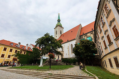 黄色怎么下载｜网络迷雾破除者：揭秘“黄毒”下载陷阱，共建清朗网络空间-1