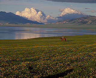 男按摩师让我高潮了三次｜性别界限重塑，享受按摩新体验-1
