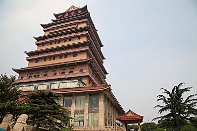 免费看美女裸体打扑克软件｜新软件引发热议,何以影响年轻人价值观