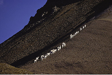 a77xcc最新版本更新内容｜《a77xcc》全新升级，科幻射击体验再升级，新武器地图等你来挑战-1