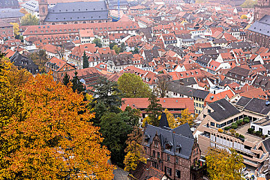 黄瓜直播|黄瓜直播:直播界黑马崛起,创意美食与户外探险精彩纷呈-1