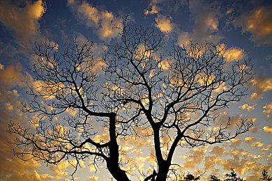 国产chinese男男GAYGAY1069｜揭秘国产男男GAY文化：1069社区背后的感人故事-1