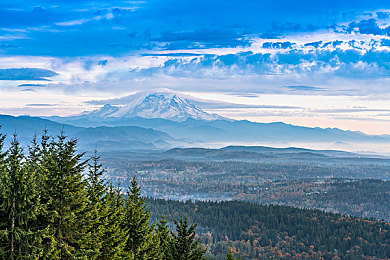 数学课代表让通免费网站｜数学课代表力荐：免费网站助你高效学习数学-1