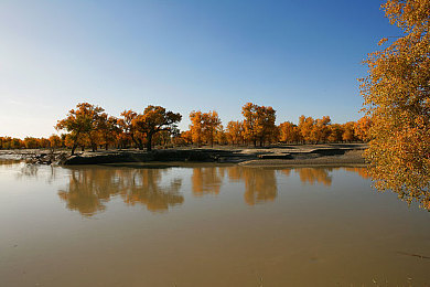 欧美日韩精品｜欧美日韩时尚精品：多元文化交融下的潮流盛宴-4