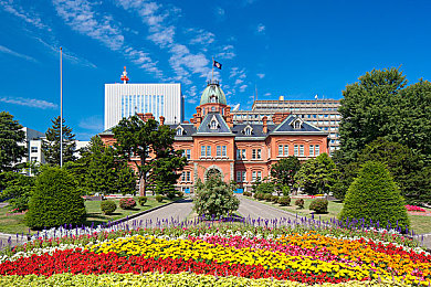 3.03免费OPPO版破解大全直接进入|OPPO破解秘籍:解锁系统潜能,畅享科技新境界-2