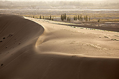 通信兽娘1到6集全剧情|科技幻境冒险,通信兽娘守护未来-2