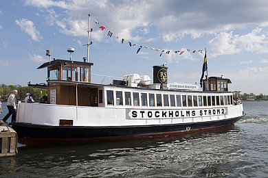 草莓app直播免费视频|草莓直播创新潮涌,免费互动引领行业新风潮-3