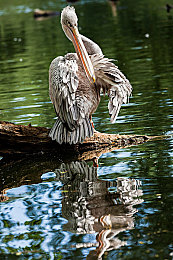 馒头 一线天 肥厚｜美食奇观：一线天馒头探险之旅-1
