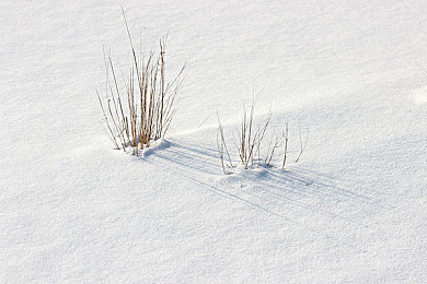 福建导航福建大菠萝官网下载网站|寻味福建,大菠萝美食之旅-2