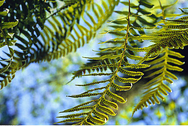 黄色软件2.0下载｜“黄色软件2.0”下载热潮：功能升级引关注，网络安全风险需警惕-2