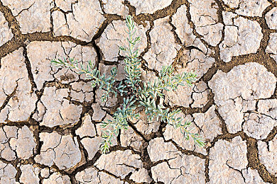 黄色软件下载3.3.3｜揭秘隐秘，畅享便捷：数字时代软件下载新纪元-2